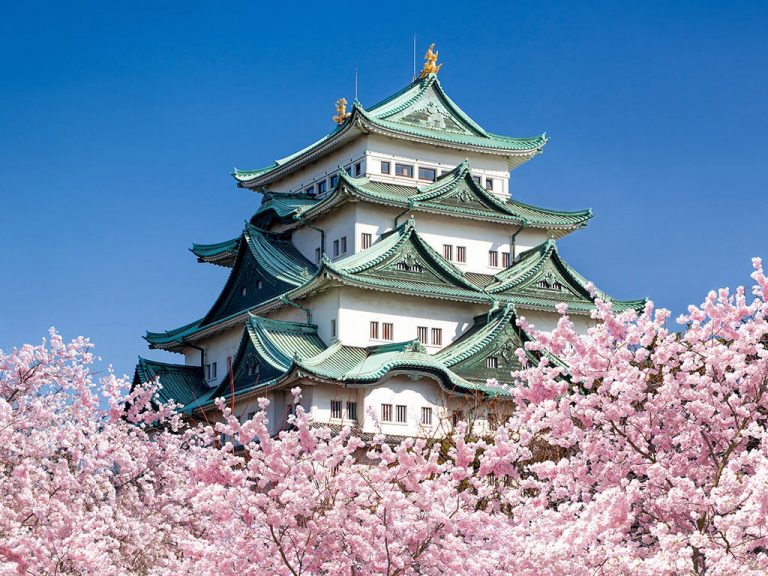 15 Cherry Blossom Spots in Nagoya and Aichi Nagoya is not boring