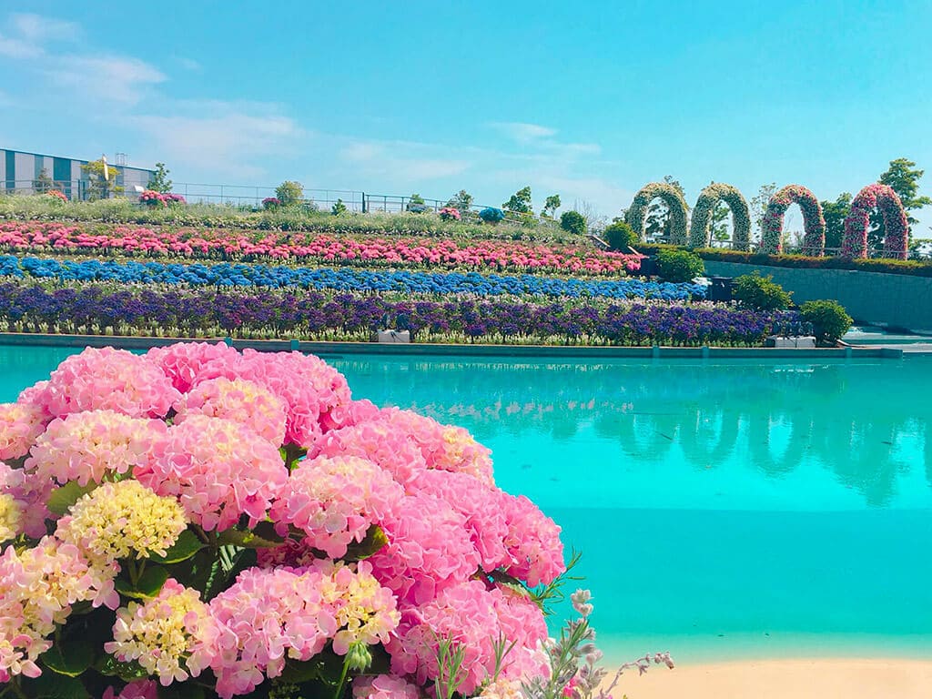 Best Spots For Hydrangea Viewing In Aichi Nagoya Is Not Boring