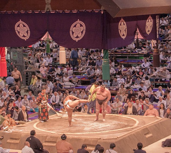 Sumo Tournament Experience