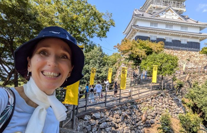 Gifu Castle