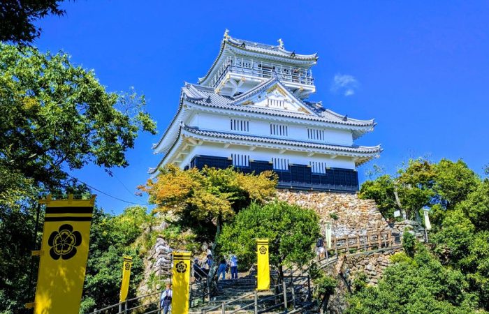 Gifu Castle